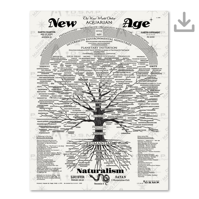 New Age, New Order PDF Download