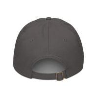 Organic D.S.M.P. Corporate Logo Hat