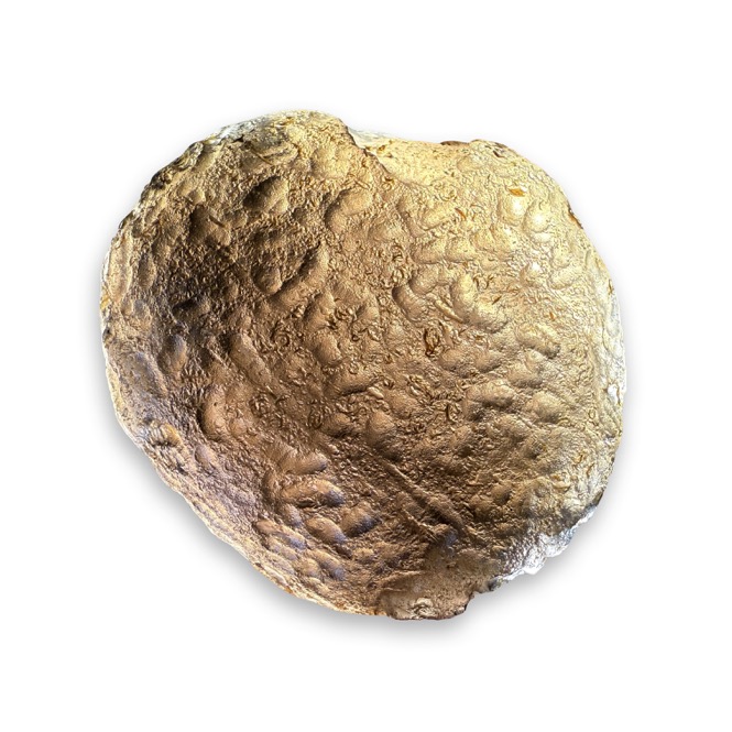 Giant Cintamani Stone, Colombianite 1.75