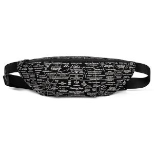 Q-WEB (Black) Fanny Pack