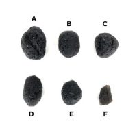 Sacred Pearl of Divine Fire (Agni Manitite), Indonesian Tektite