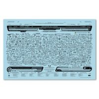 Traitors & Alliances 17