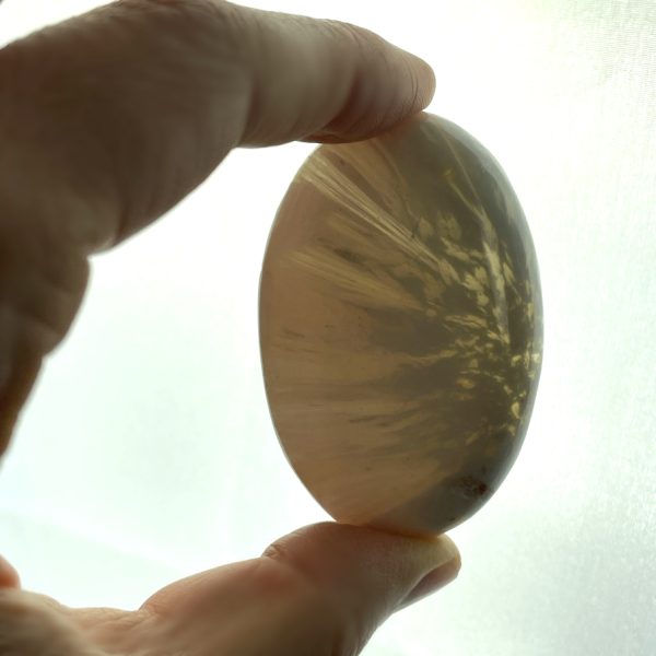 Scolecite Palm Stones, 2.5” India