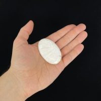 Scolecite Palm Stones, 2.5” India