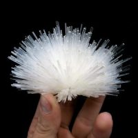 Scolecite Palm Stones, 2.5” India