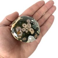 Ocean Jasper Palmstone, 2.25