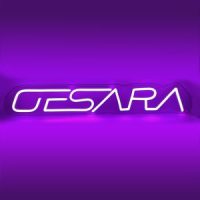GESARA LED Neon Sign