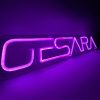 GESARA LED Neon Sign