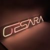 GESARA LED Neon Sign