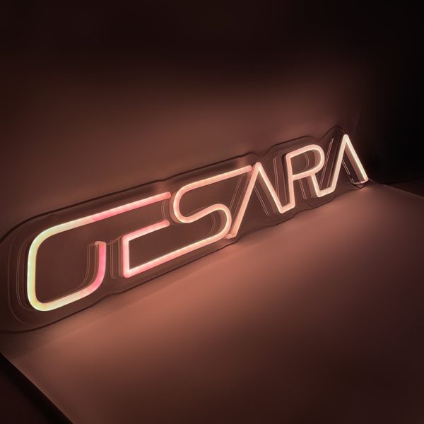 GESARA LED Neon Sign