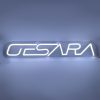 GESARA LED Neon Sign