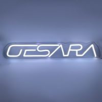 GESARA LED Neon Sign