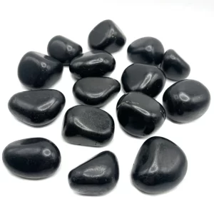 Shungite Tumbled Stones (EMF Protection)
