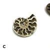 Pyritized Ammonite Fossil