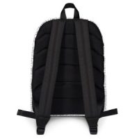 Q-WEB BACKPACK