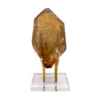 Citrine 5.5