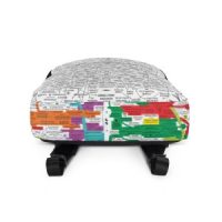 Q-WEB BACKPACK (MULTI)