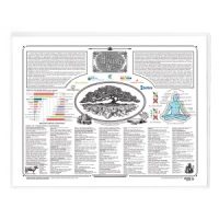 ULTIMATE HEALTH PACK