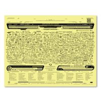 Traitors & Alliances Map 8.5 x 11