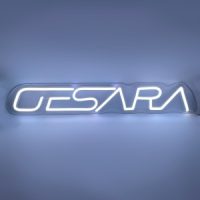 GESARA LED Neon Sign