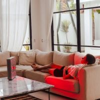 EMR-TEK Firedragon, Red & Near Infrared Light