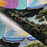 Infinite Life Vortex 40