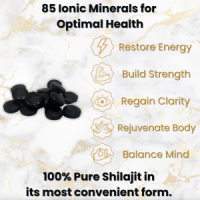 Black Lotus Shilajit Tablets