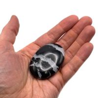 Black Sardonyx & Quartz Palmstone, India