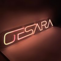 GESARA LED Neon Sign