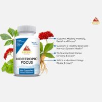 Nootropic Focus by Ascent Nutrition