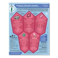 Jab Detox Protocol  8.5 x 11