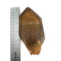 Citrine 5.5