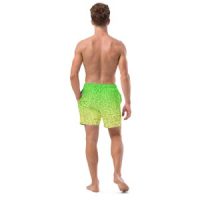 Q-WEB Swim Trunks (Acid)
