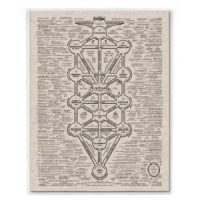 Cult of Baal Packet, 2024