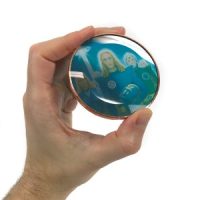 Pleiadian Envoy Spirit Guide Disc (3