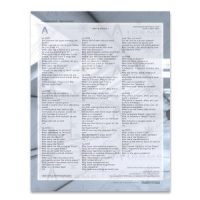 Orit-B Codex Introduction Flyer 8.5 x 11