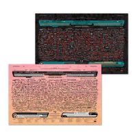 Traitors & Alliances Map Expanded Ed. 11 x 17