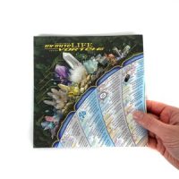 Infinite Life Vortex 24