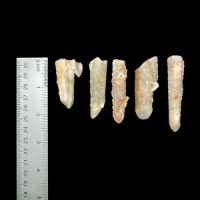 Fairy Quartz Points, South Africa