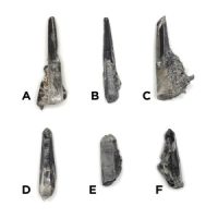 Dark Fairy Quartz Raw Points, Pakistan