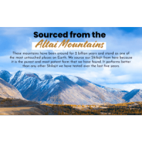 Black Lotus Shilajit Tablets