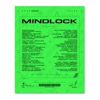 Mindlock Protocol 8.5 x 11